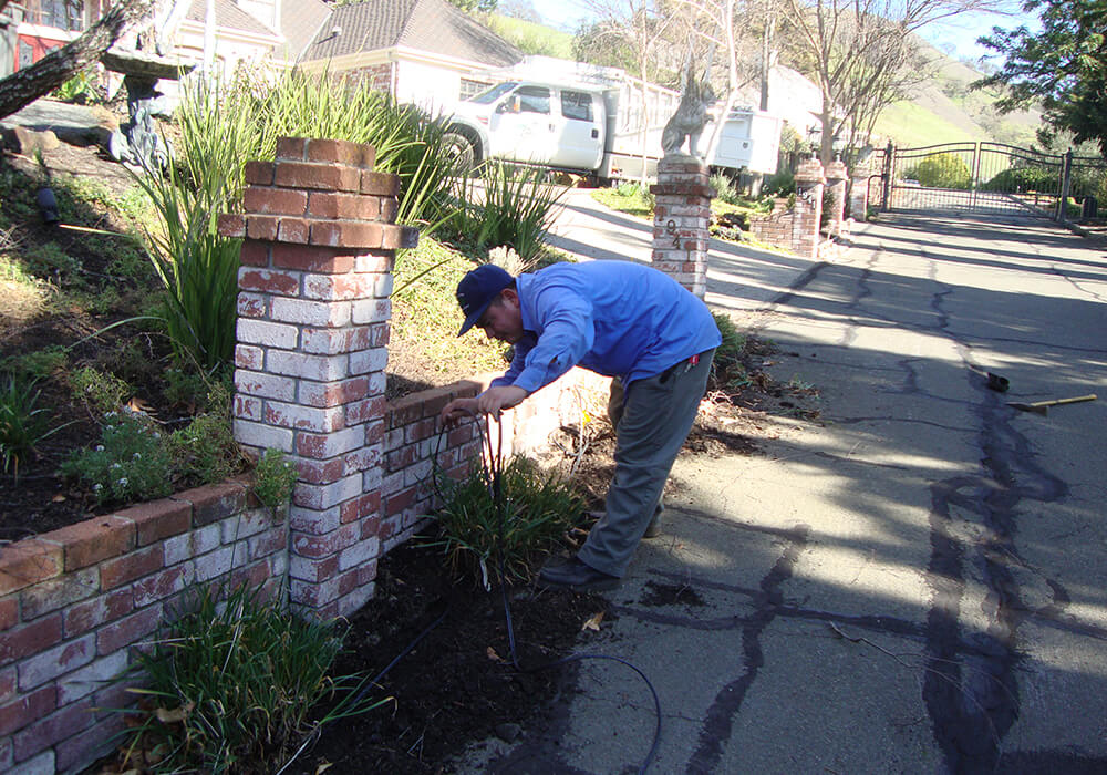 Hardscape: Brick and Concrete