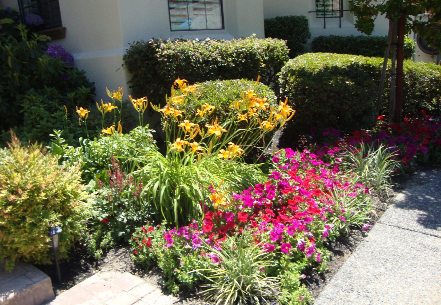 Landscape Maintenance | East Bay | Oscar Landscaping Inc