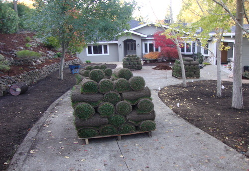 Project 31- Hardscape and Turf Installation