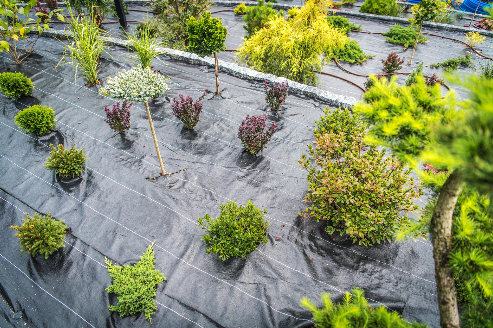 Hardscape Landscaping project by Oscar Landscaping