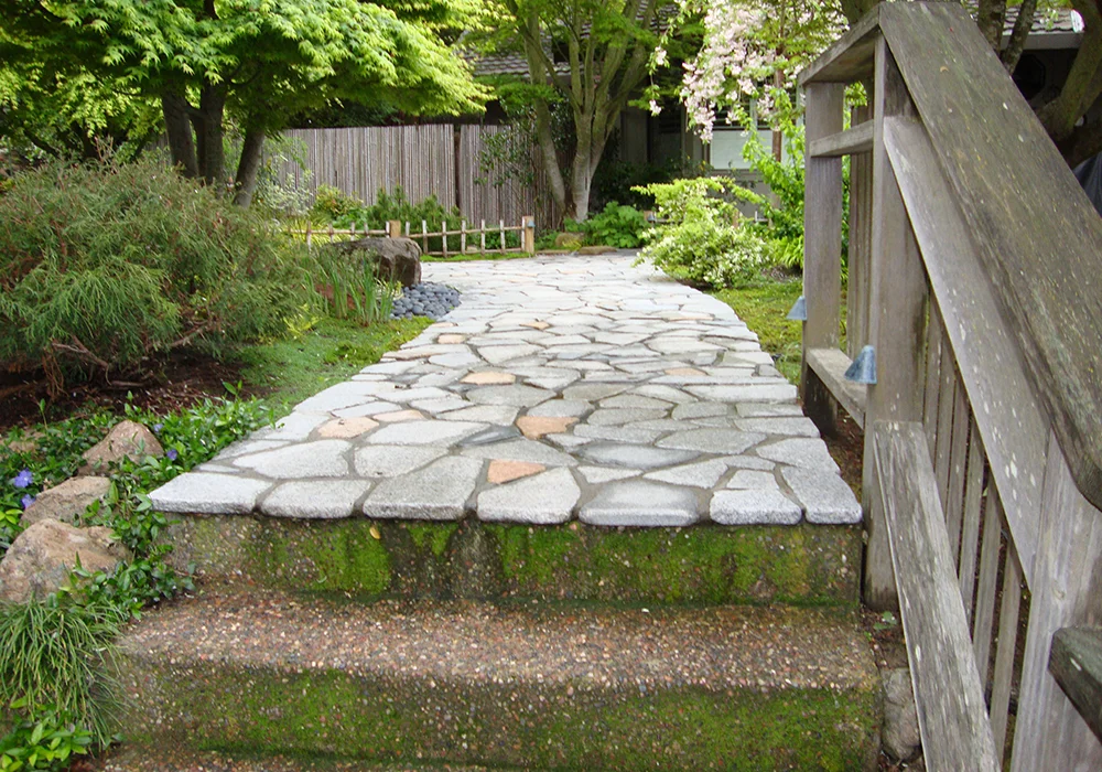 stoned-step-path-and-lots-of-green-plants