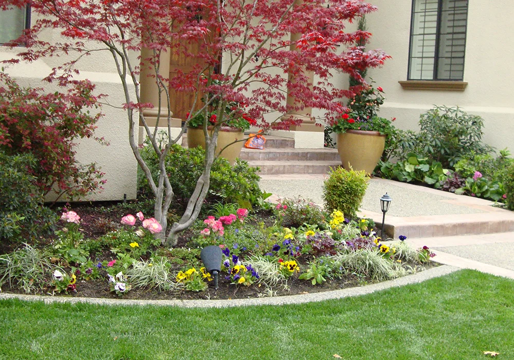 entrance-with-plants-and-garss