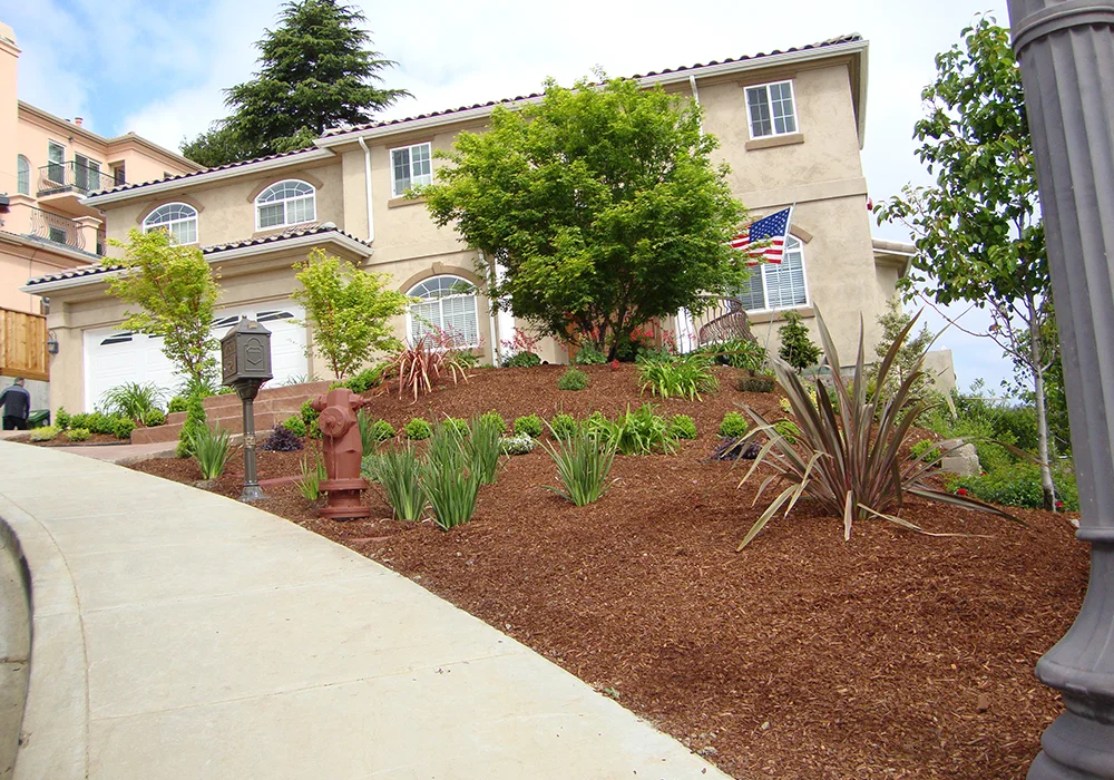 house-up-hill-entrance-view -plants
